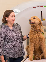 Susanne Stieger-Vanegas with an adorable goldren retriever in a vet office